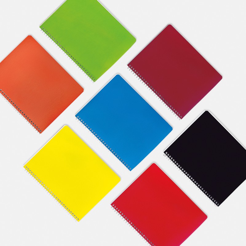 CUADERNO PROFESIONAL - Vista 2