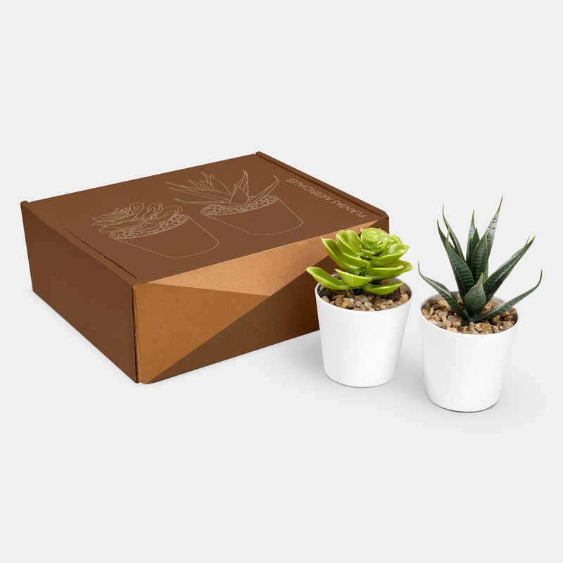 SET DE PLANTAS ALISO - Vista 7