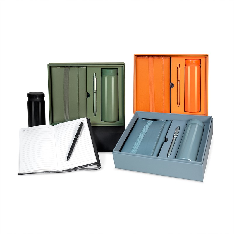 SET BIRKIN - Vista 6