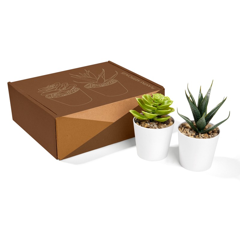 SET DE PLANTAS ALISO - Vista 9