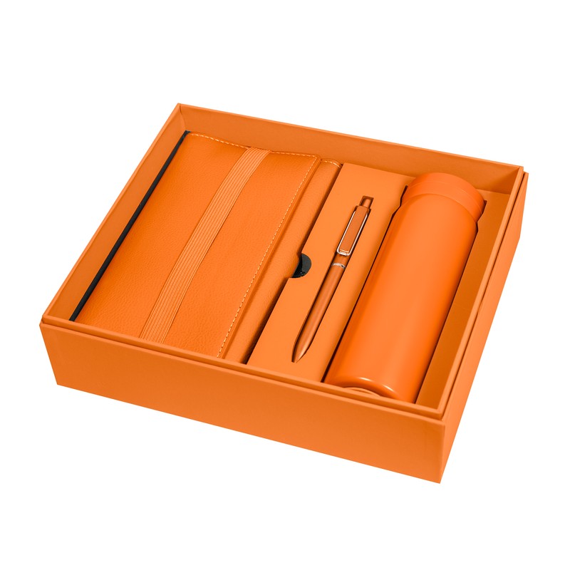 SET BIRKIN - Vista 9